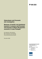 Biomass of benthic and planktonic bacteria in Laxemar and Forsmark and biomass of Reed (Phragmites australis) in Lake Frisksjön. Oskarshamn and Forsmark site investigation