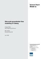 Site-scale groundwater flow modelling of Ceberg