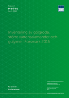 Inventering av gölgroda, större vattensalamander och gulyxne i Forsmark 2015