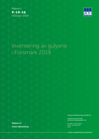 Inventering av gulyxne i Forsmark 2019 Inventering av gulyxne i Forsmark 2019